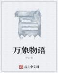 万象物语DR是什么的缩写