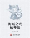 武侠海贼王