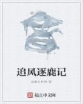 逐风追电