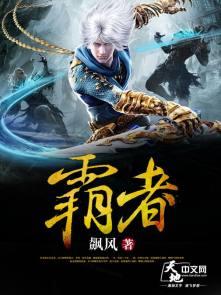 霸者之证地图