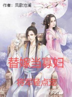 替嫁将军夜