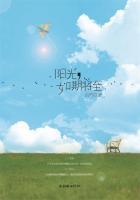 叶木四阳光如约而至