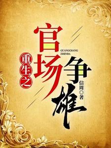 重生之官场奇才阅读