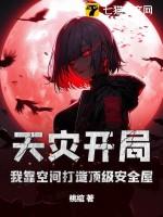 天灾类型的空间文