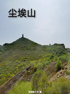 可以是山也可以是尘埃什么意思