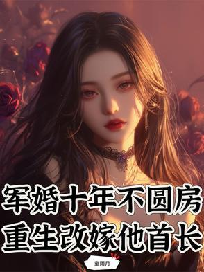 重生改嫁他首长完结