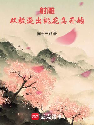 从射雕到神雕