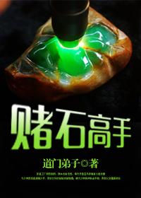 赌石高手李建苏小蕊