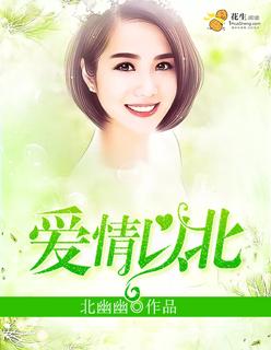 爱情以北沈佳宁最新章节更新时间