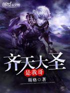 我是齐天大圣歌词