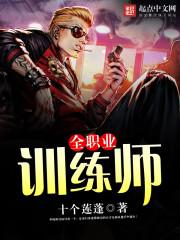 全职业训练家