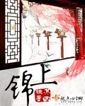 锦上添花打一正确生肖动物