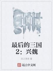 最后的三国2兴魏无错版