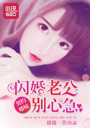 闪婚总裁契约妻节二部