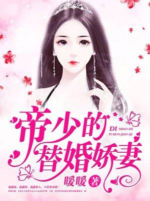帝少的替嫁新娘宝贝
