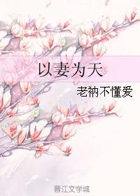 以妻为天txt