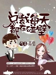 总裁每天都在宠我