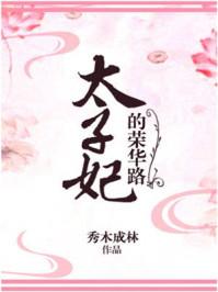 太子妃的荣华路书包网