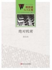 绝对机密电视剧剧情介绍