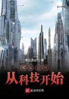 模拟公司创立