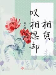 情深又何苦在你的怀里偷偷认了输