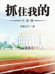 抓住我的手是什么歌曲