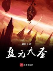 大圣盘官网搜索