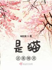 还是别的什么?