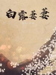 蒹葭萋萋白露未晞的拼音