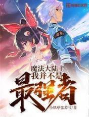 魔法大陆最强刺客