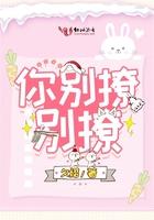 你别撩啦简介