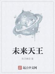 未来天王本书作者陈词懒调