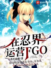 在忍界运营fgo起点