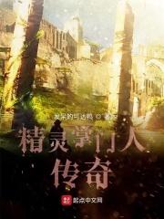 精灵掌门人boquge