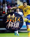 禁区之雄免费阅读