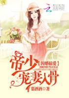 闪婚掠爱帝少的宠妻