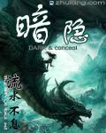 暗隐阁私人定制