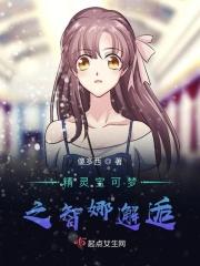 精灵宝可梦之智娜永恒