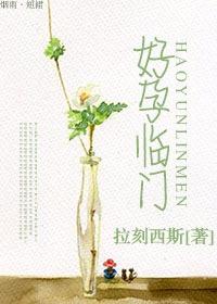 好孕临门txt