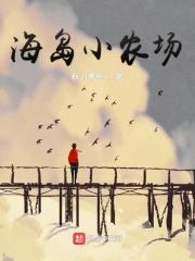 海岛小农场起点